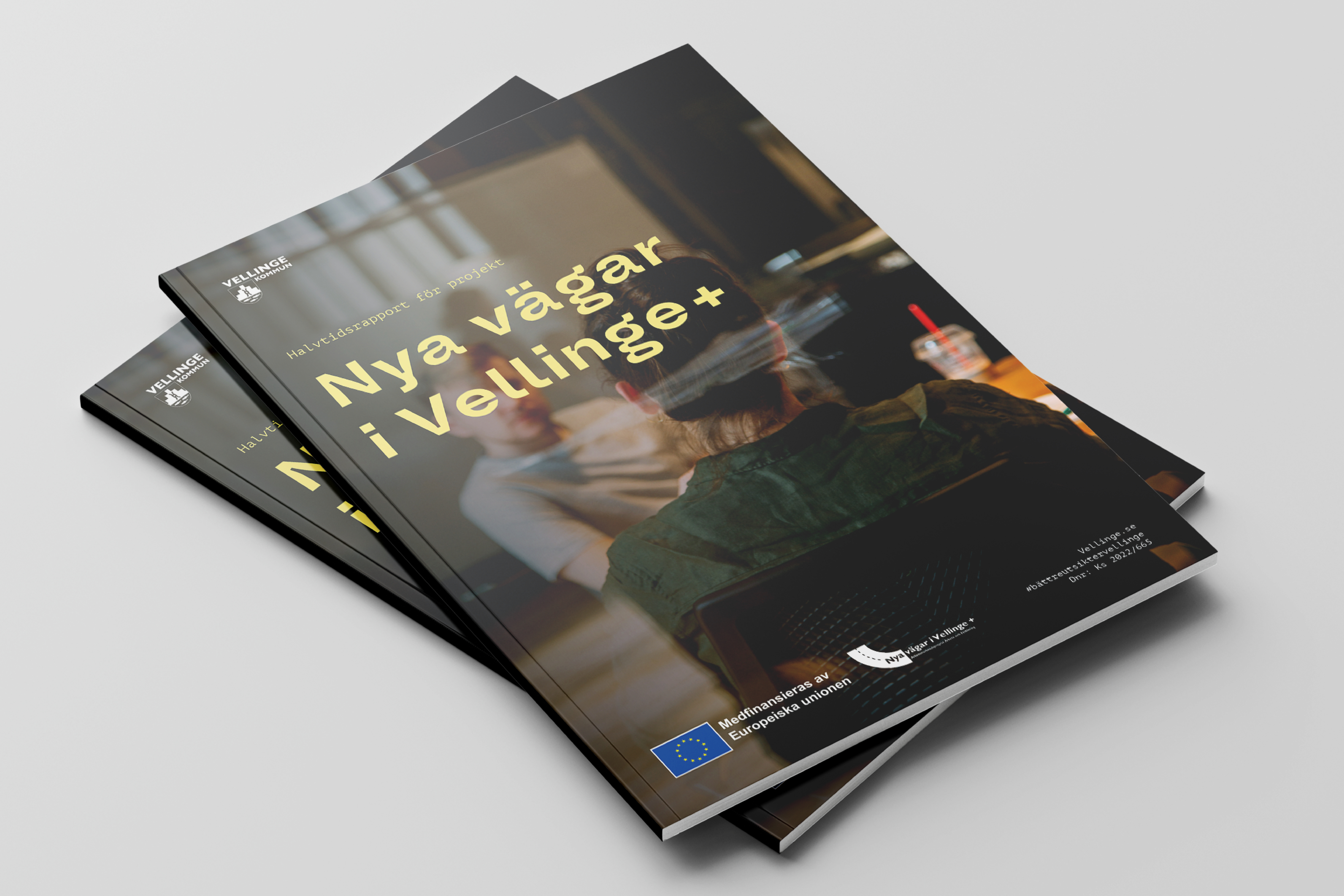 Vellinge+_ 6720x4480_4.jpg