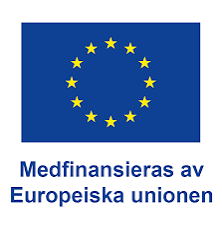 Image (17).png