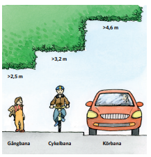 En häck ska ha fri höjd över gående med 2,5 meter, cyklist med 3,2 meter och bil med 4,6 meter..