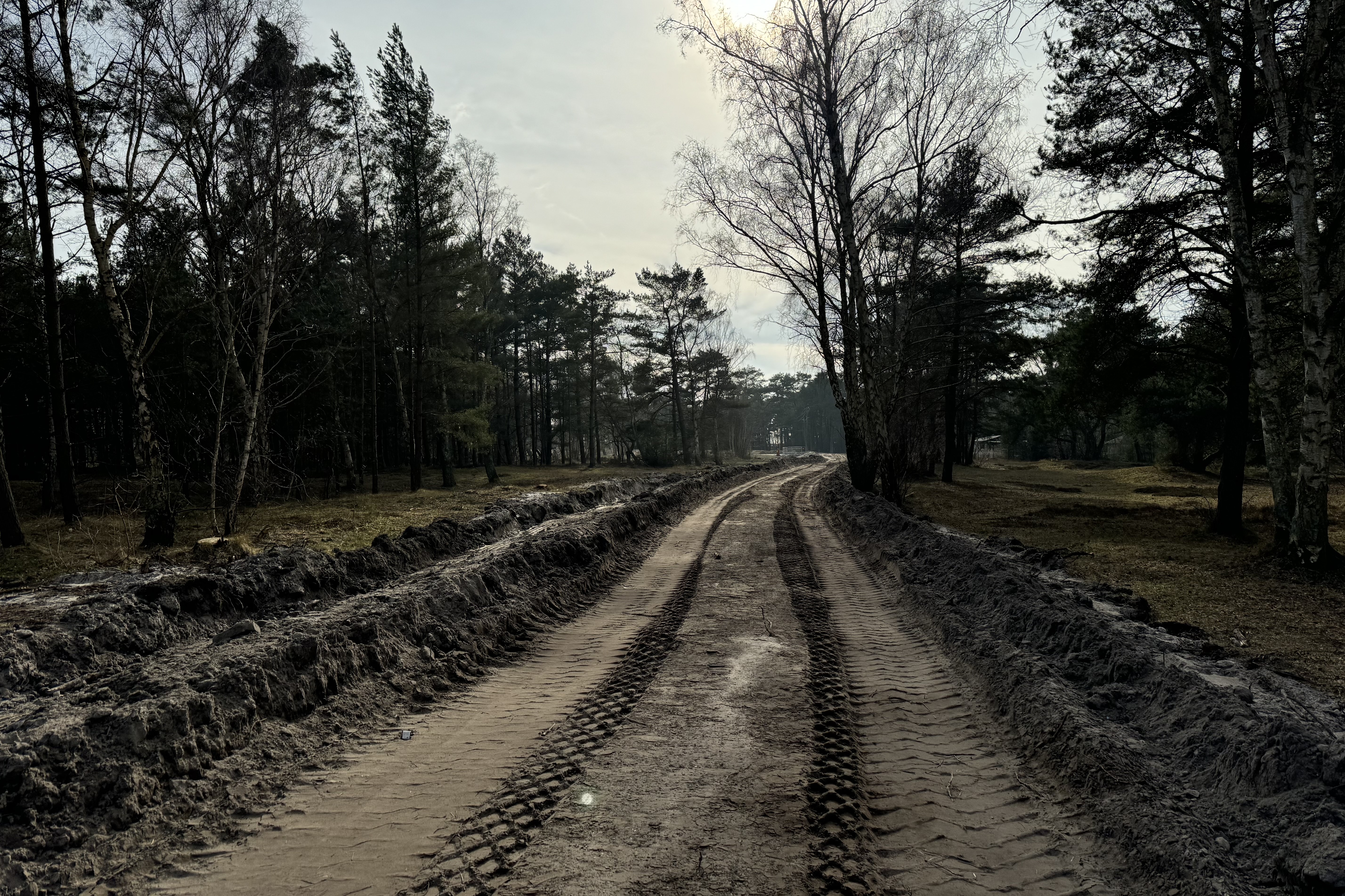 skyddsvallen 17 250305.jpg