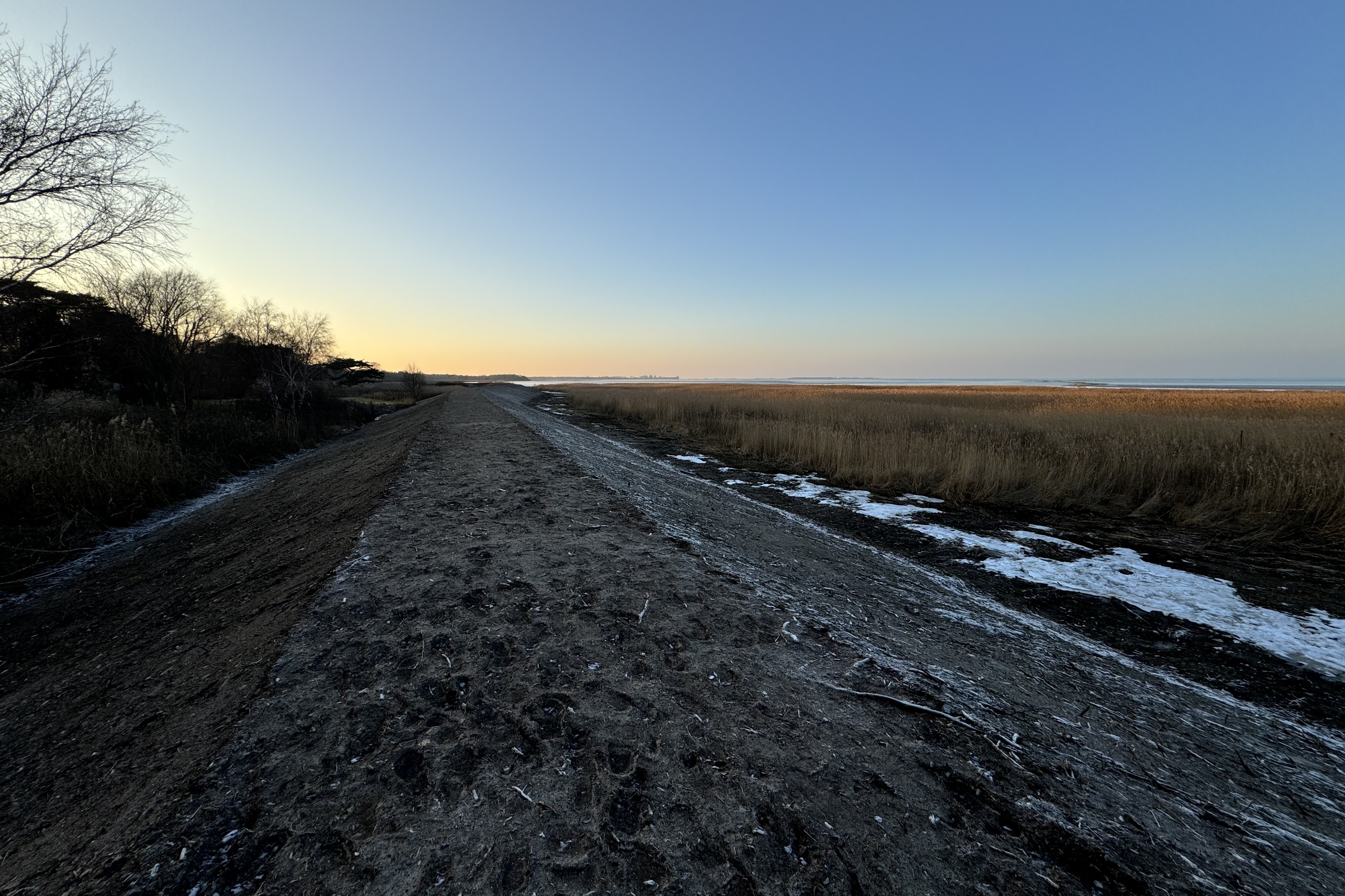 norra ljunghusen 9 260120.jpg