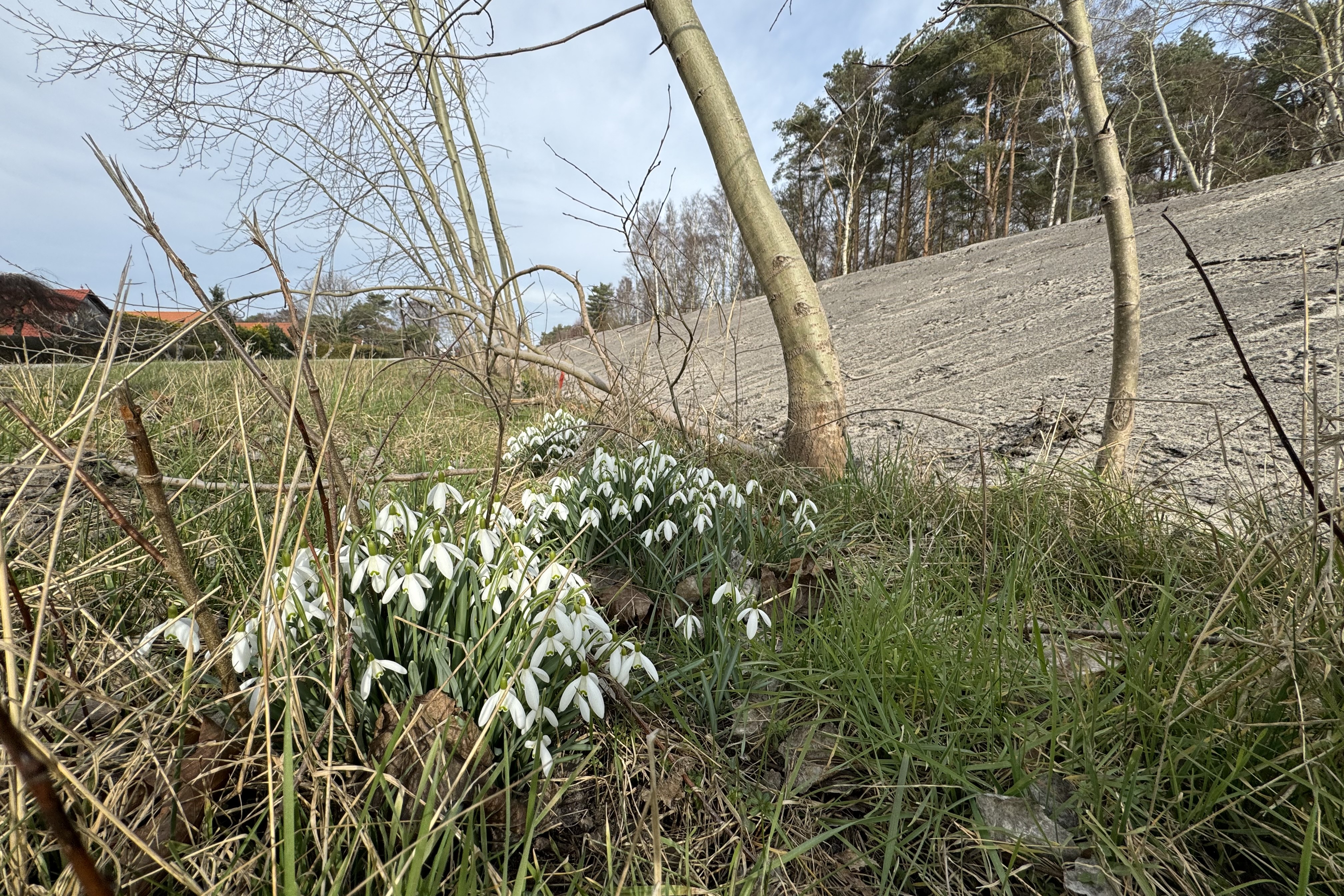 skyddsvallen 250305 6.jpg